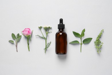 Photo of Bottle of essential oil, different herbs and flowers on white background, flat lay