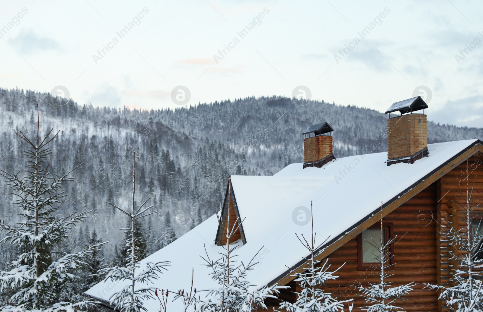 Photo of Wooden cottage and fir trees covered with snow in winter morning