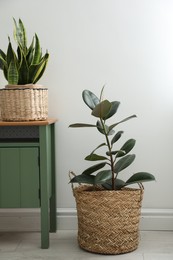 Photo of Different tropical plants in wicker pots near white wall at home