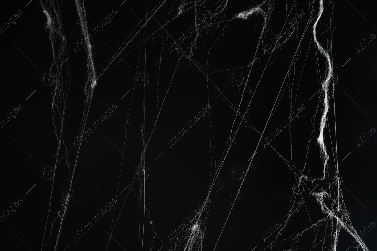 Photo of Creepy white spider web on black background