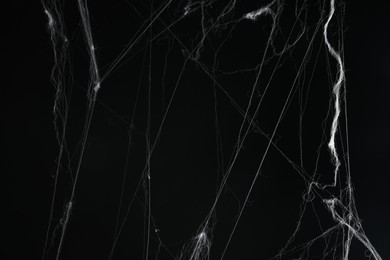 Photo of Creepy white spider web on black background