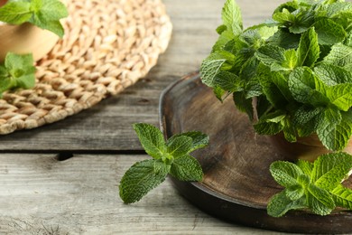 Bowl with fresh green mint leaves on wooden table, closeup. Space for text