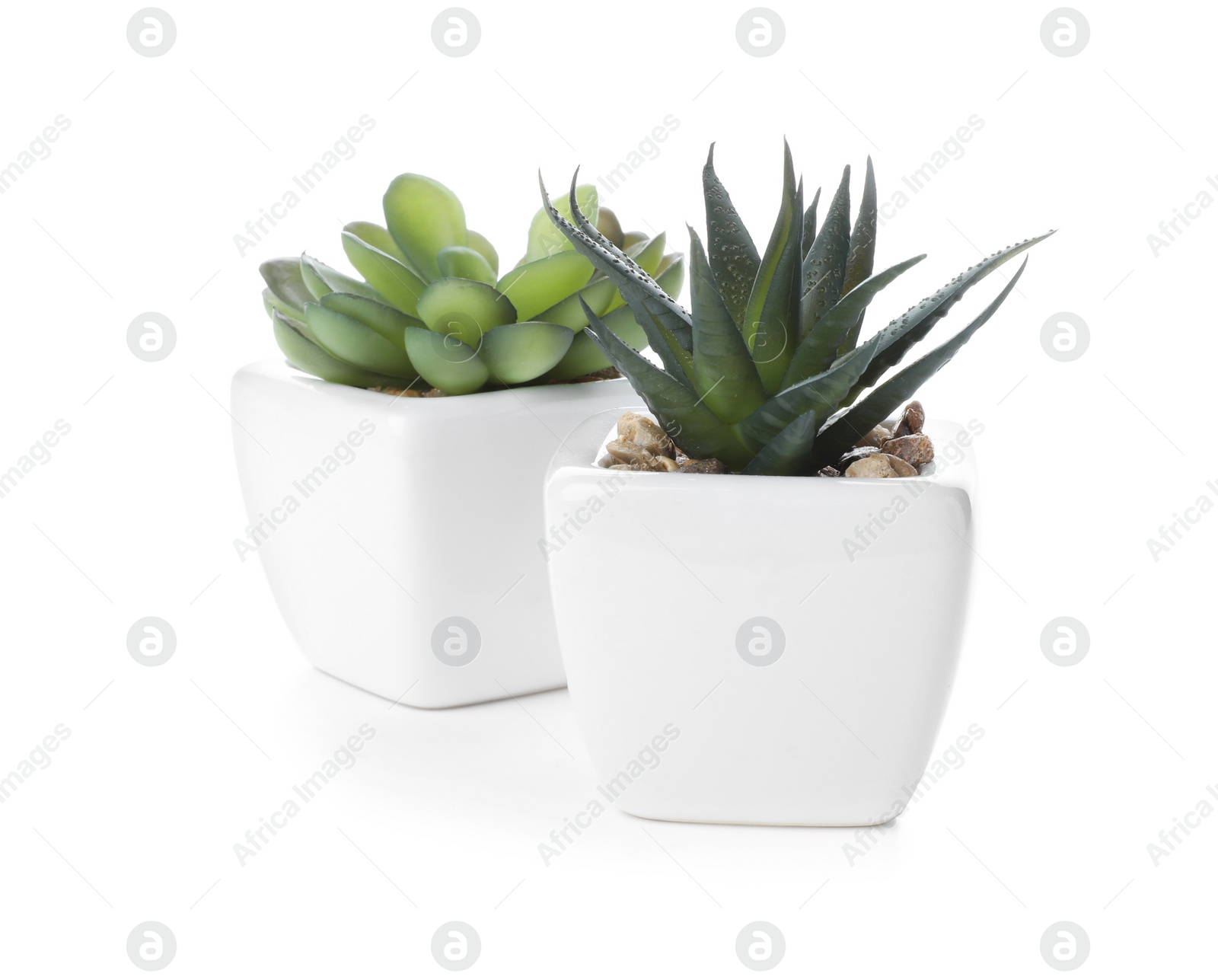 Photo of Beautiful artificial plants in flower pots isolated on white