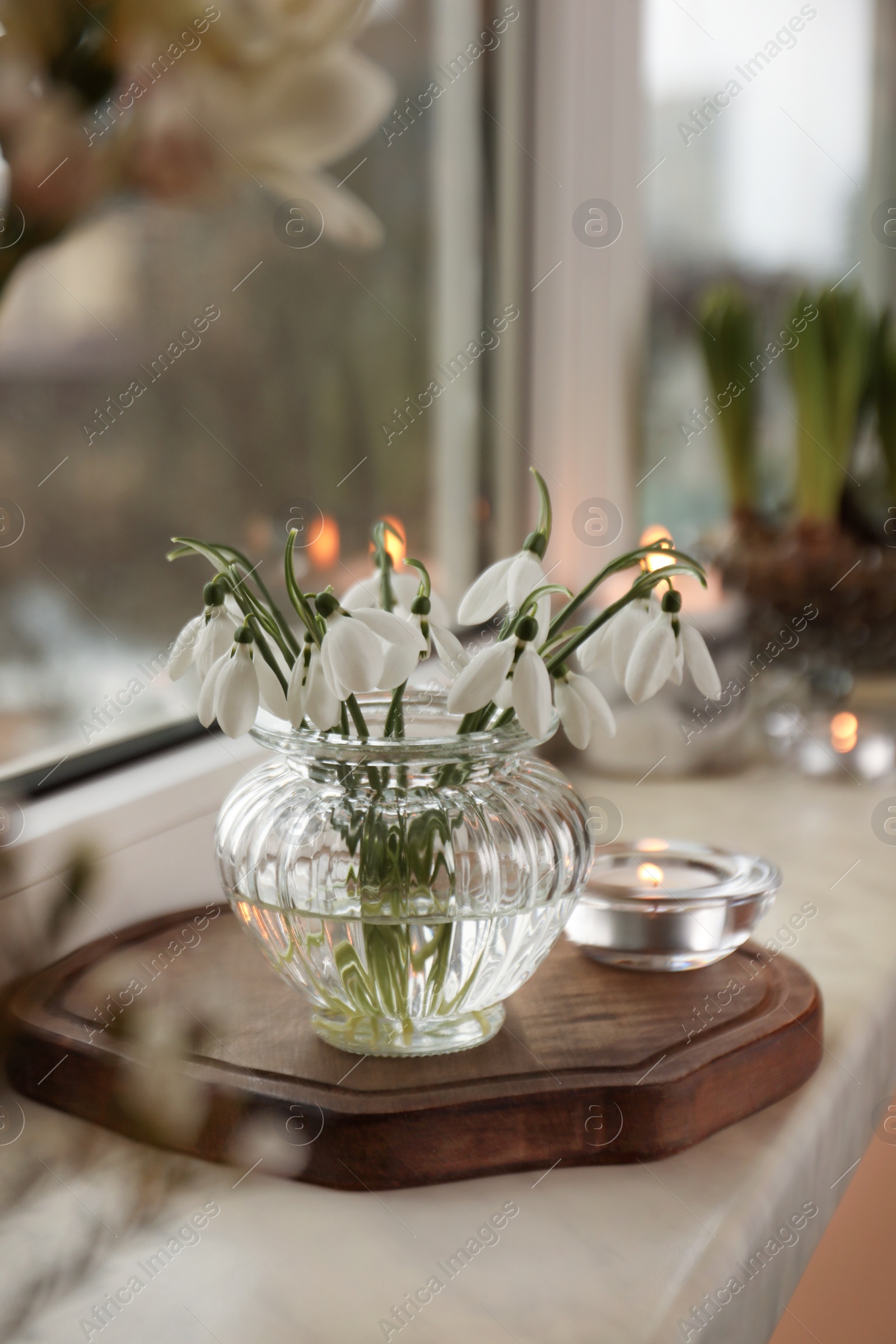 Photo of Spring is coming. Beautiful snowdrops and candle on windowsill indoors