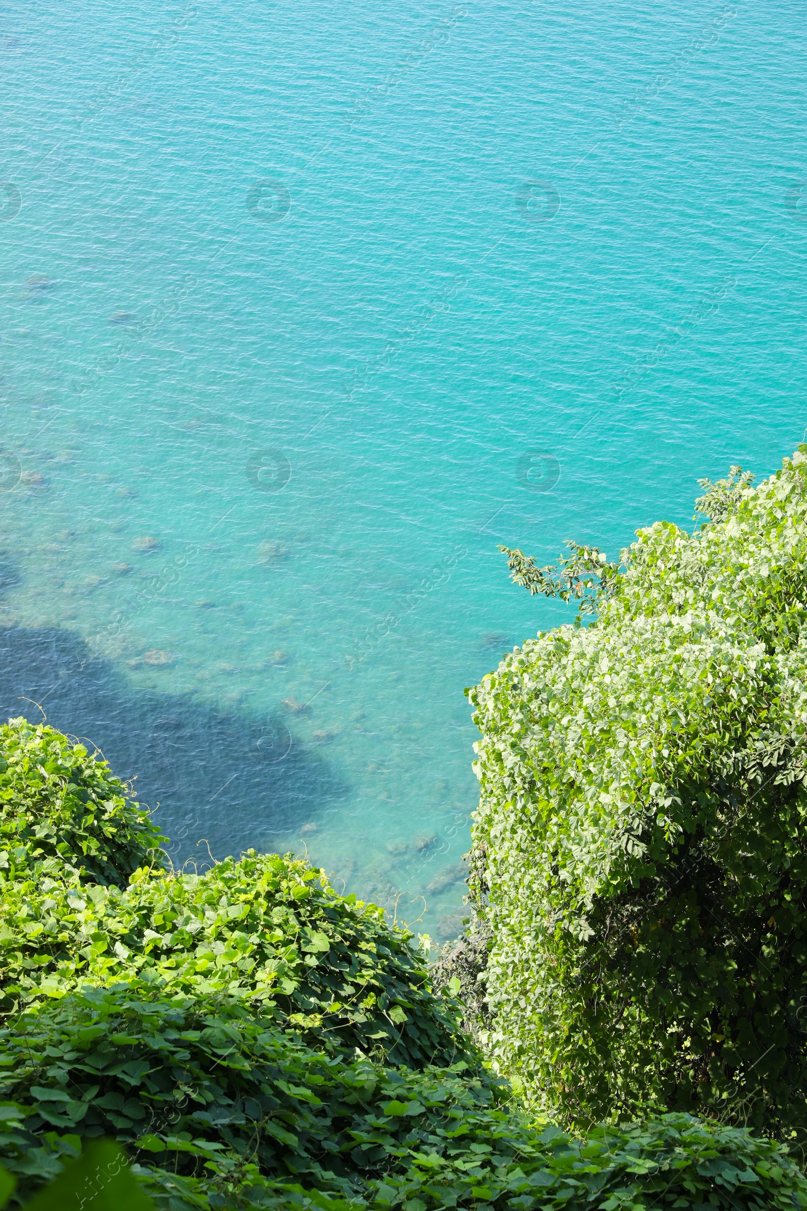 Photo of Picturesque view of green hills and sea with boat