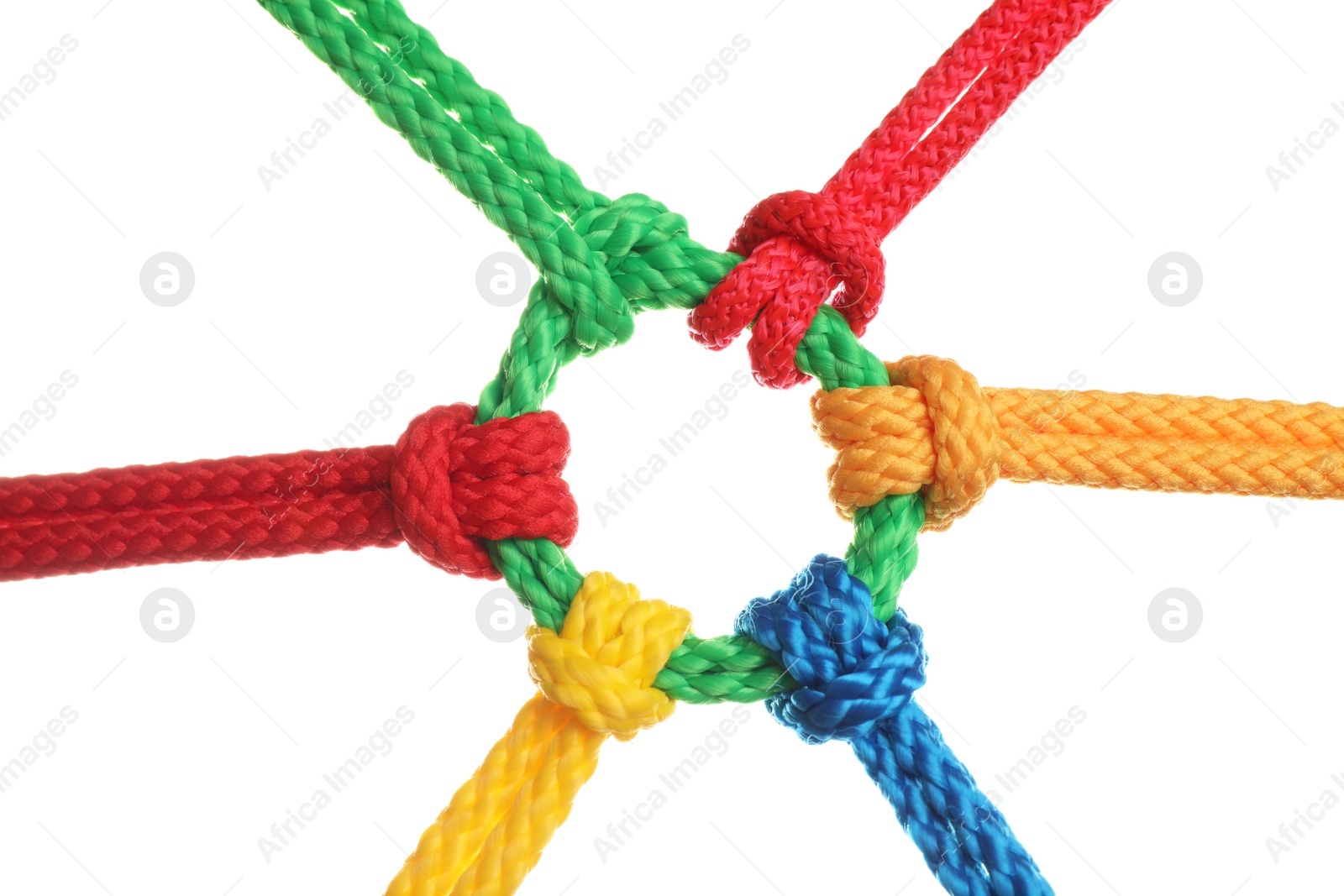 Photo of Colorful ropes tied together isolated on white. Unity concept