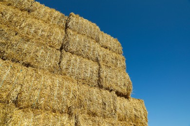 Many hay bales against blue sky, low angle view. Space for text