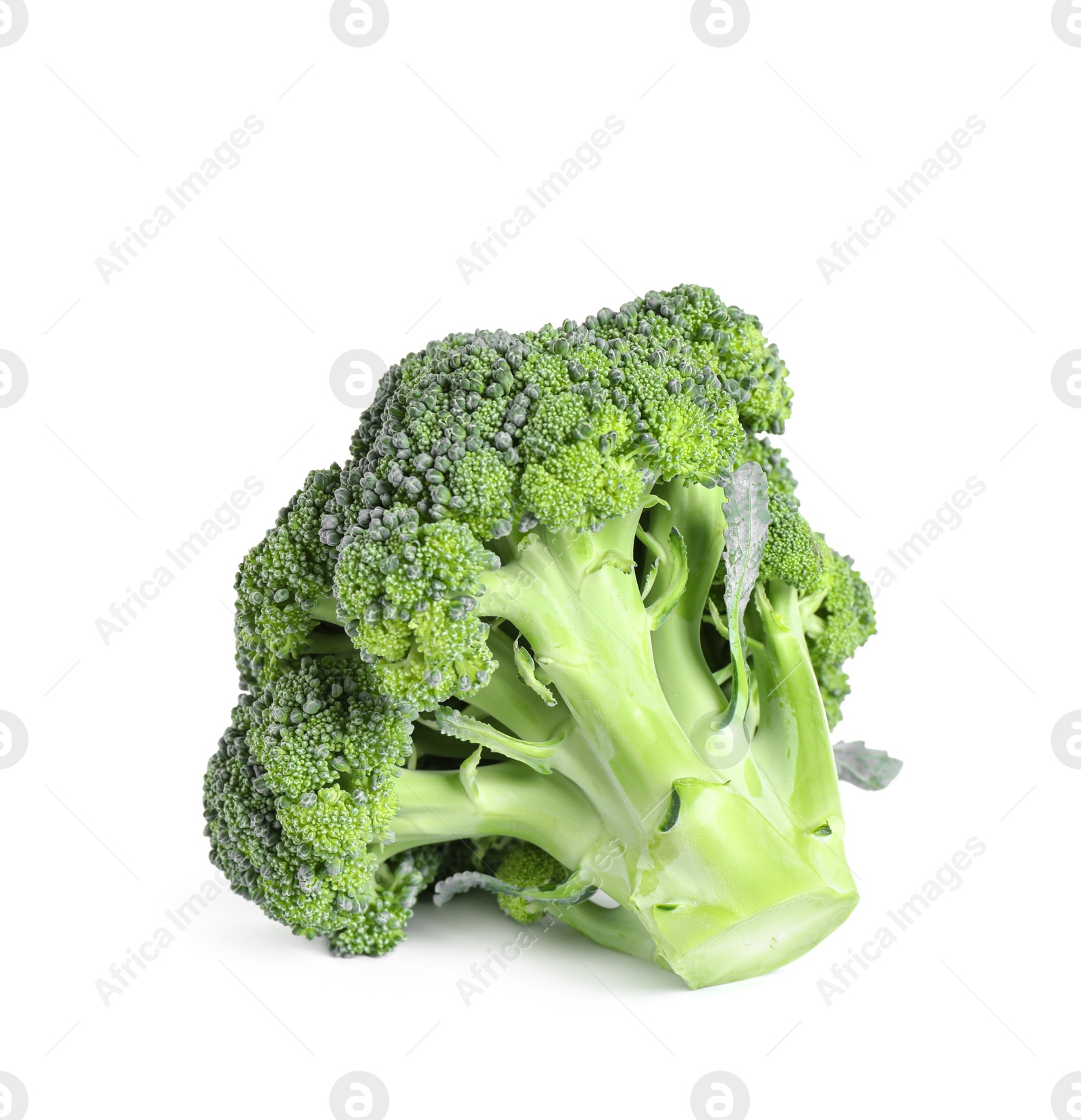 Photo of Fresh green raw broccoli on white background