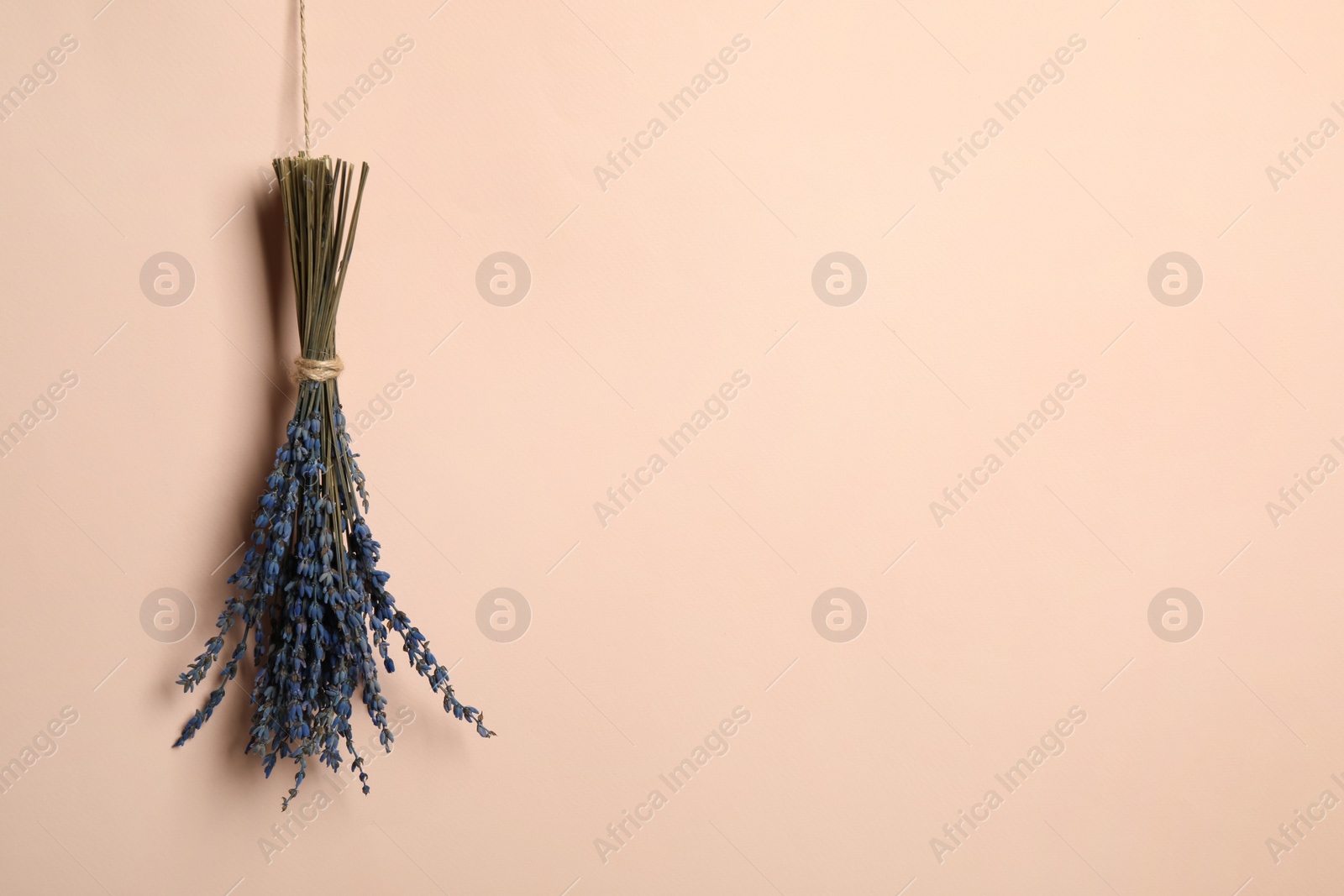 Photo of Bunch of beautiful dried flowers on pink background. Space for text