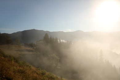 Photo of Picturesque view of foggy forest. Beautiful mountain landscape