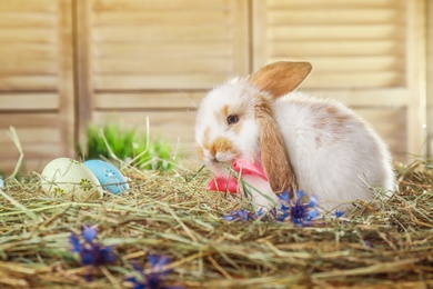 Photo of Adorable Easter bunny and dyed eggs on straw