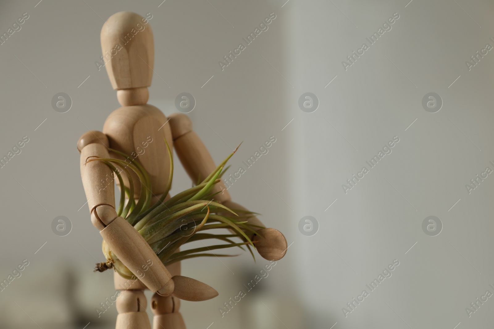 Photo of Wooden human figure with beautiful Tillandsia plant indoors, closeup and space for text. Home decor