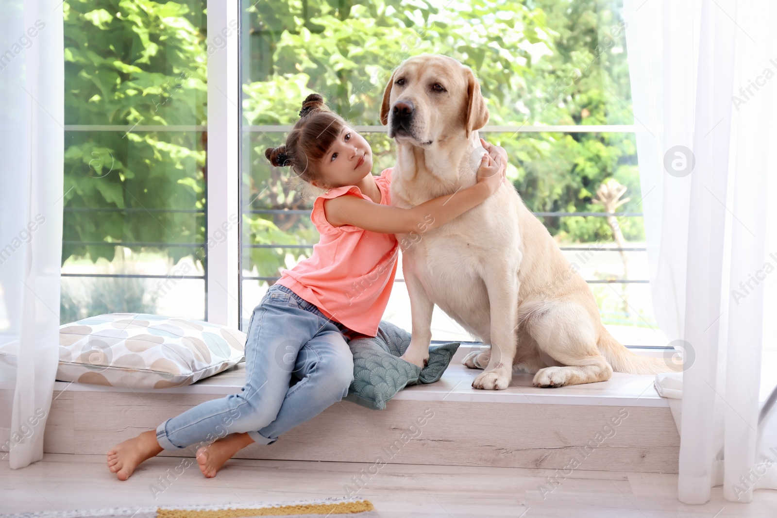 Photo of Adorable yellow labrador retriever and little girl near window at home