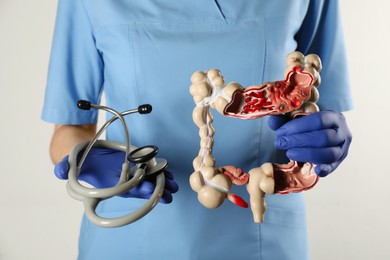 Gastroenterologist holding human colon model and stethoscope on white background, closeup