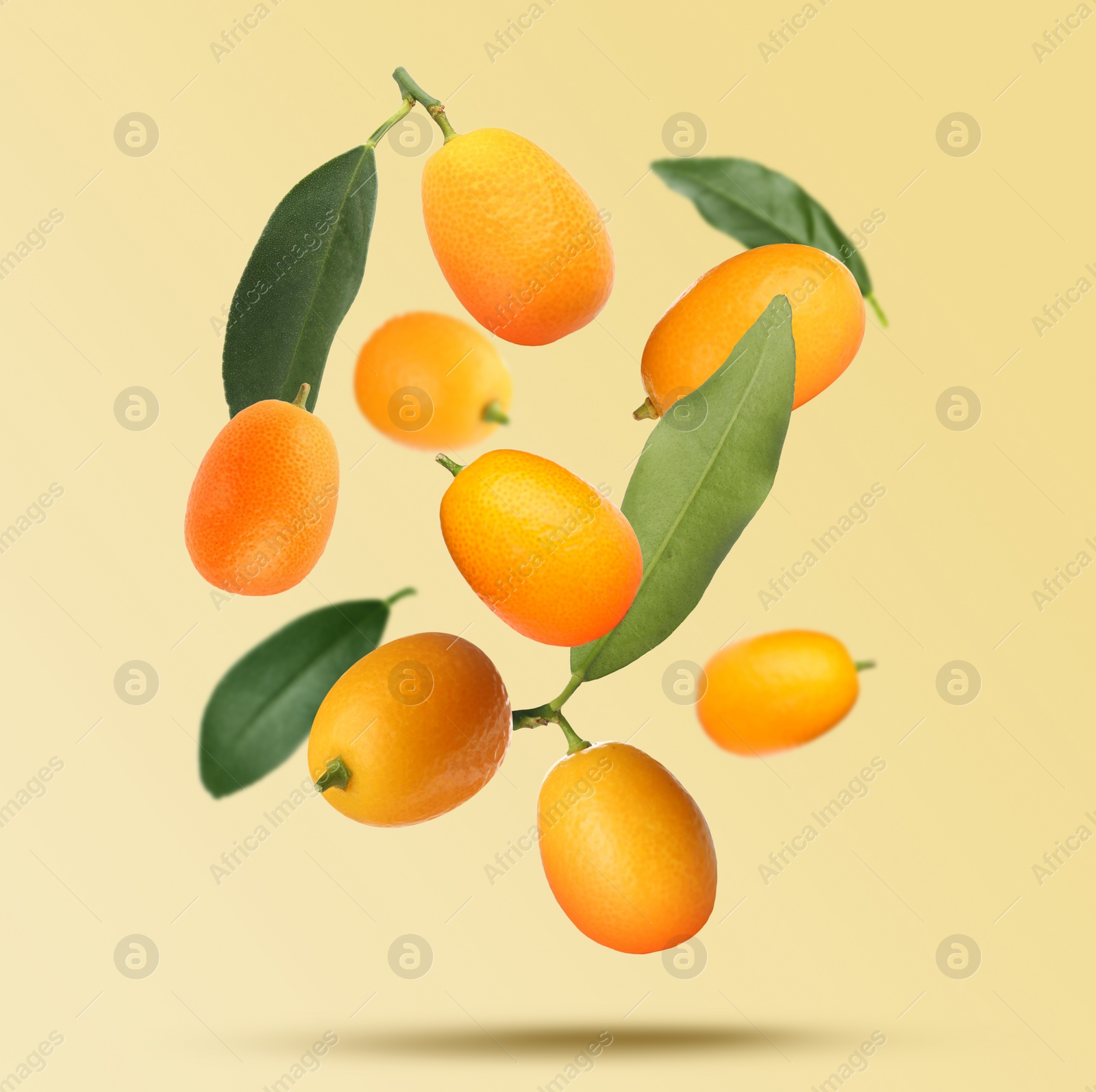 Image of Delicious fresh kumquats and green leaves falling on beige background