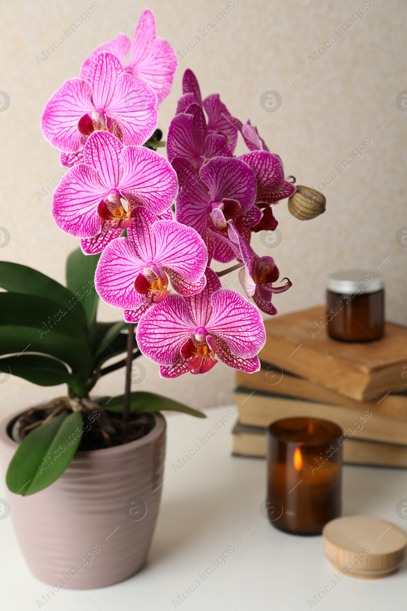 Photo of Beautiful blooming orchid, books and burning candle on white table