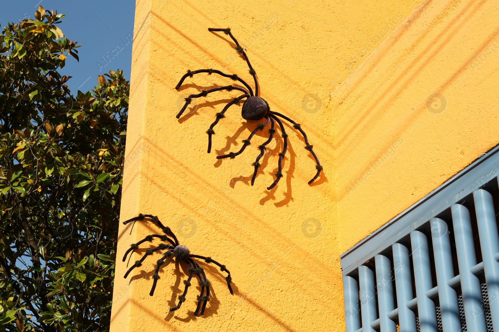 Photo of Big creepy spiders on yellow building wall. Halloween decor