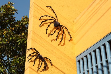 Big creepy spiders on yellow building wall. Halloween decor