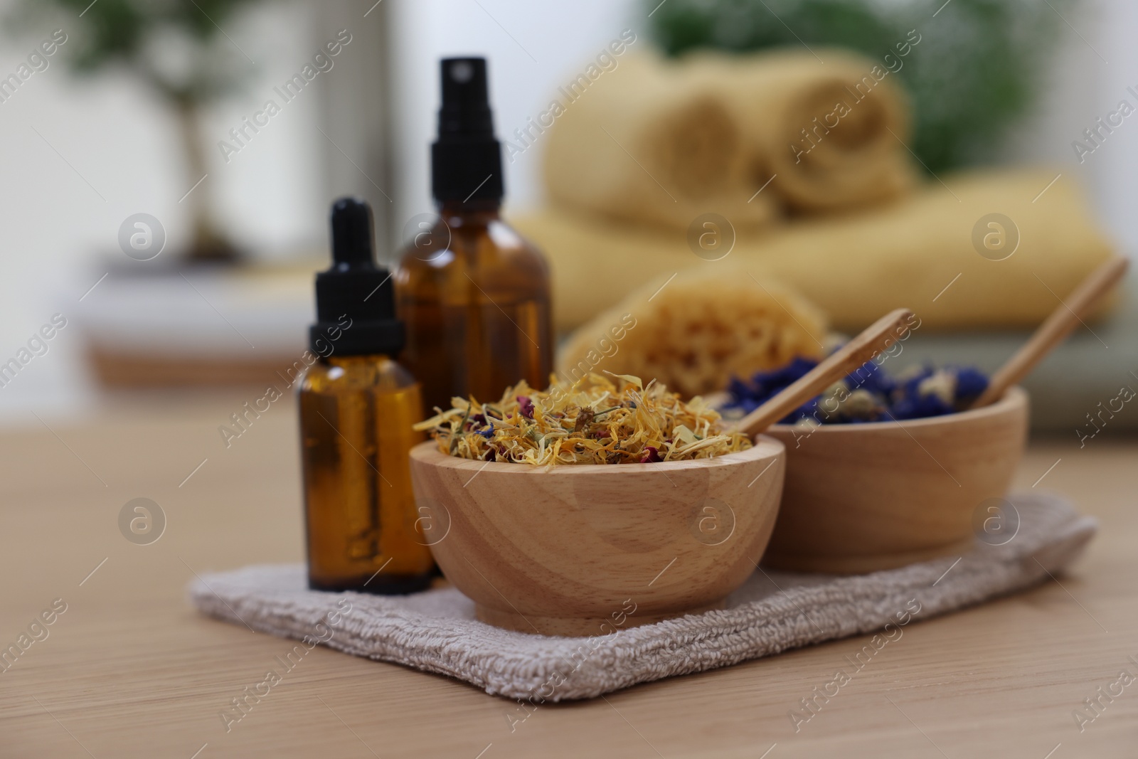 Photo of Bottles of essential oils, bowls with dry flowers and natural sponge on light wooden table, closeup. Spa therapy