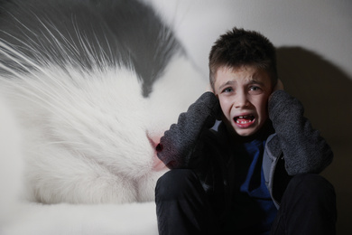 Image of Little boy suffering from ailurophobia. Irrational fear of cats