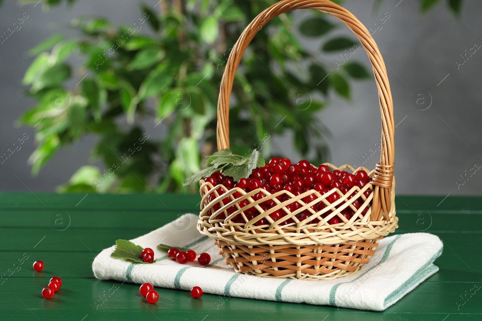 Photo of Ripe red currants and leaves in wicker basket on green wooden table, closeup. Space for text