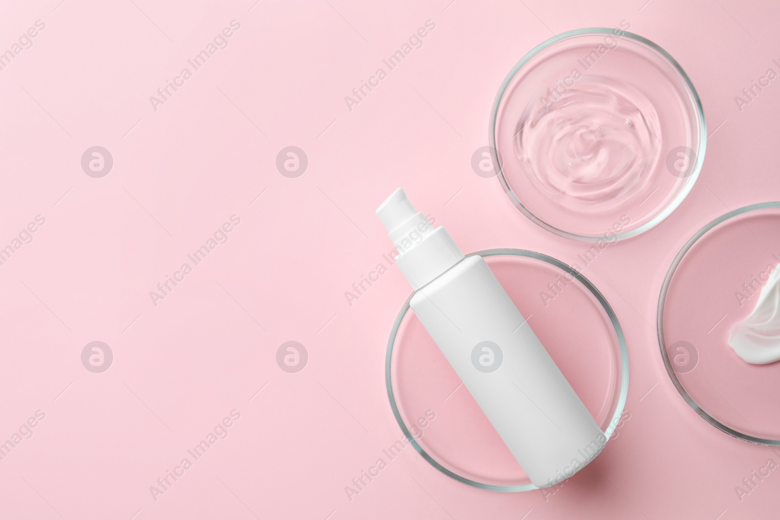 Photo of Petri dishes and cosmetic products on pink background, flat lay. Space for text
