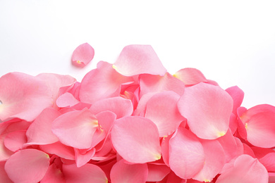 Photo of Pile of fresh pink rose petals on white background, top view