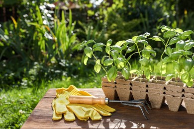 Beautiful seedlings in containers, gloves and rake on wooden table outdoors. Space for text