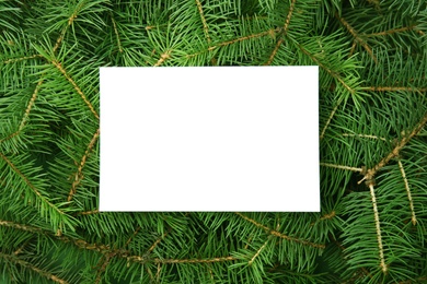 Blank card on branches of Christmas tree, top view