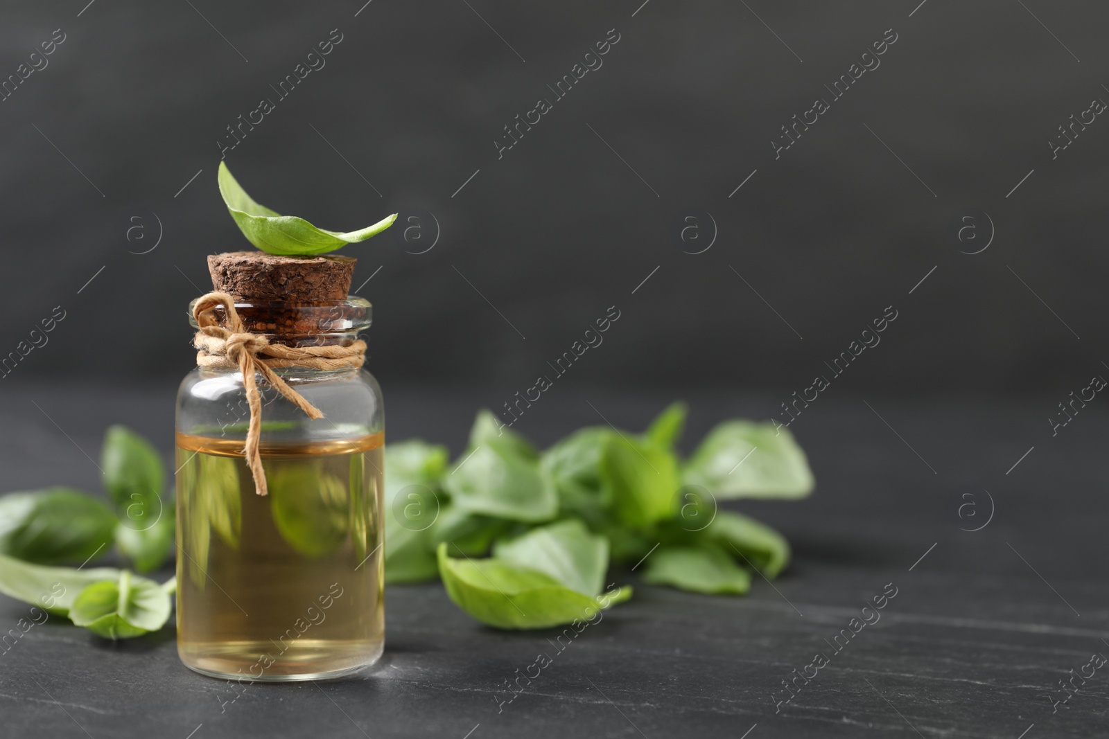 Photo of Bottle of essential basil oil and fresh leaves on dark grey table, space for text