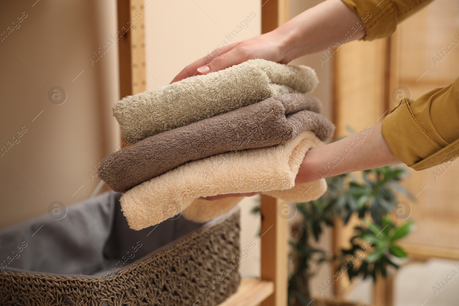 Photo of Woman putting towels into storage basket indoors, closeup