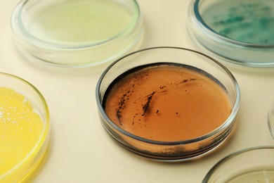Photo of Petri dishes with different bacteria colonies on beige background, closeup