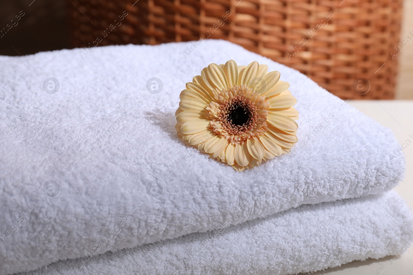 Photo of Stacked terry towels and flower on white table, closeup