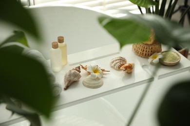 Bath tray with spa products and shells on tub in bathroom