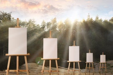 Image of Wooden easels with blank canvases in forest on sunny day 