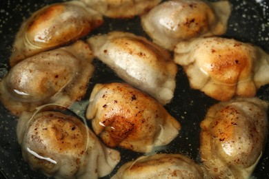 Photo of Cooking gyoza on frying pan with hot water, closeup