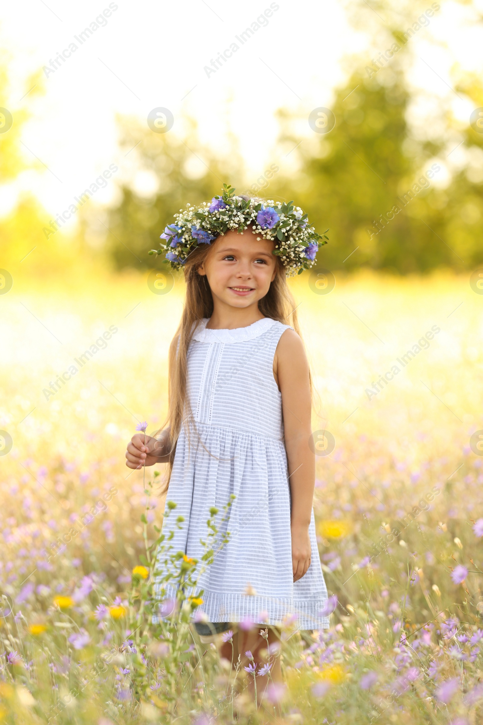 Photo of Cute little girl wearing flower wreath outdoors. Child spending time in nature