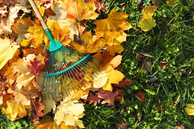 Rake and fall leaves on grass outdoors, top view. Space for text