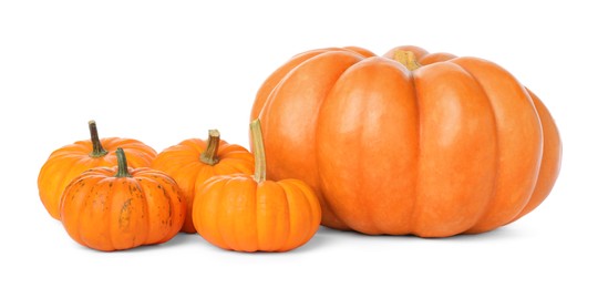 Fresh ripe orange pumpkins on white background