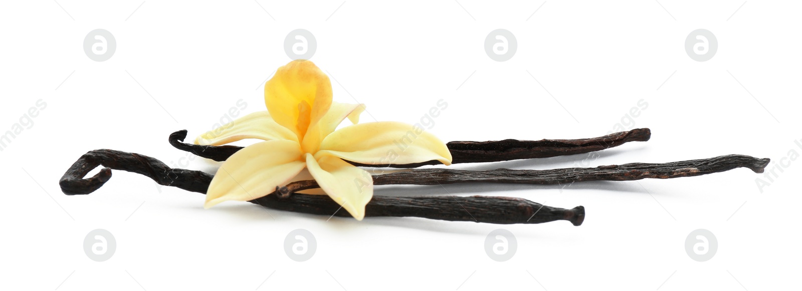 Photo of Aromatic vanilla sticks and flower on white background