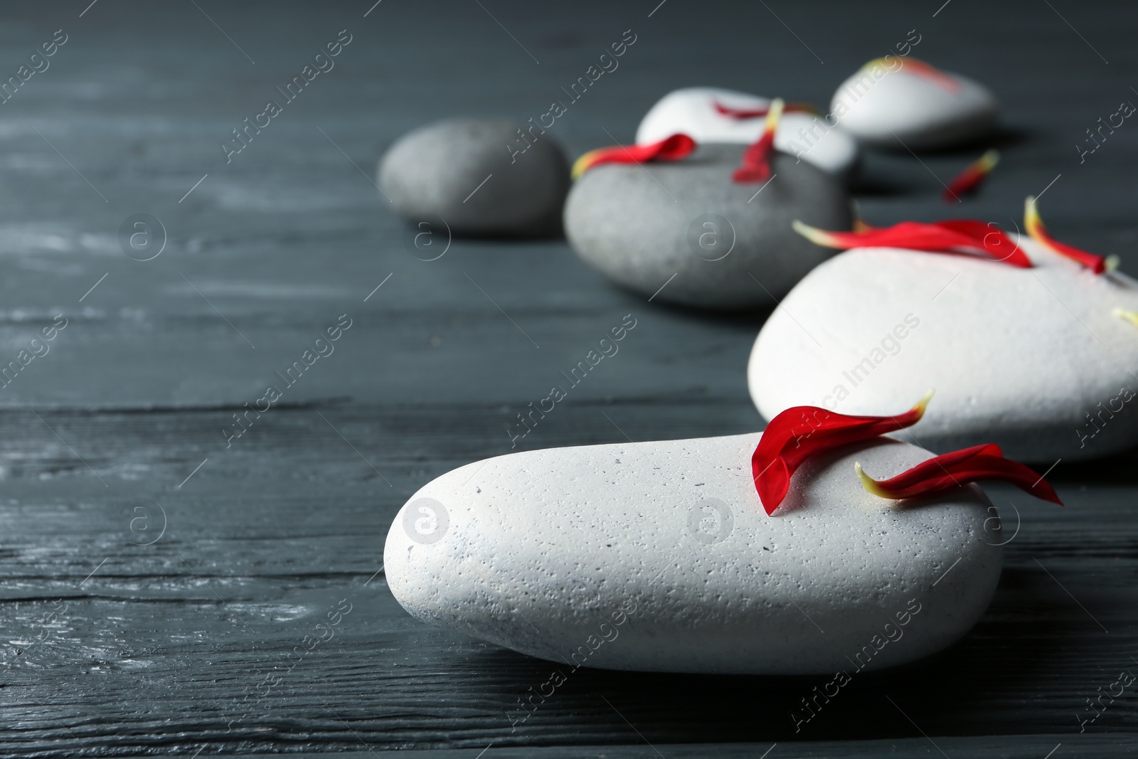 Photo of Spa stones and flower petals on wooden table, closeup. Space for text
