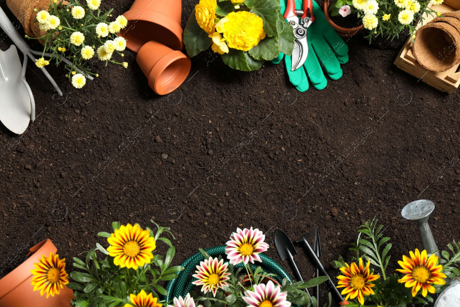 Photo of Flat lay composition with gardening equipment and flowers on soil, space for text