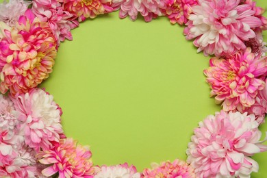 Frame of beautiful chrysanthemums on light green background, flat lay. Space for text