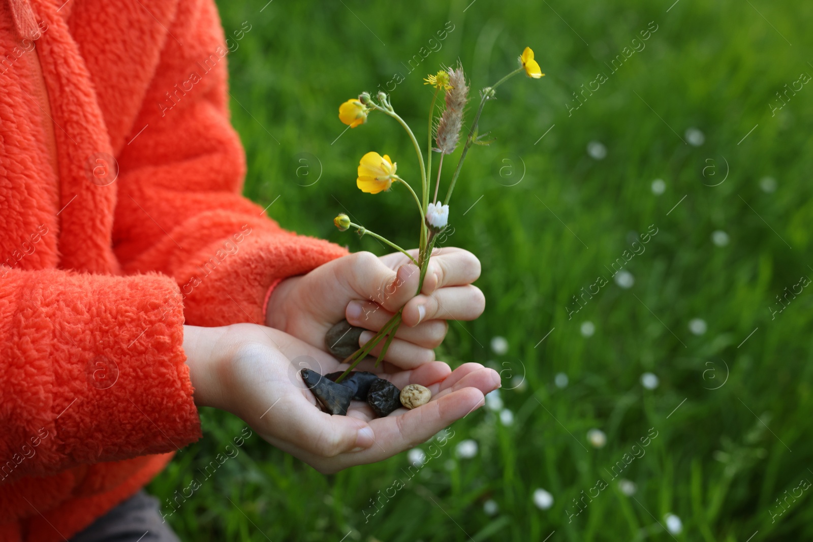 Photo of Girl with beautiful wild flower and stones outdoors, closeup. Space for text