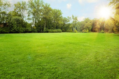Photo of Beautiful view of public city park with green grass and trees