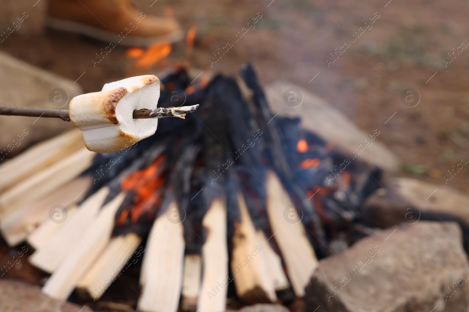 Photo of Delicious marshmallow roasting over campfire, closeup. Space for text