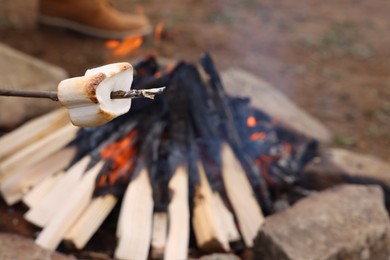 Photo of Delicious marshmallow roasting over campfire, closeup. Space for text