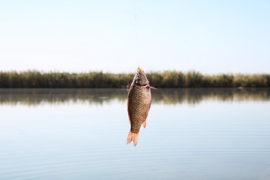 Photo of Catching fish on hook in river. Fishing day