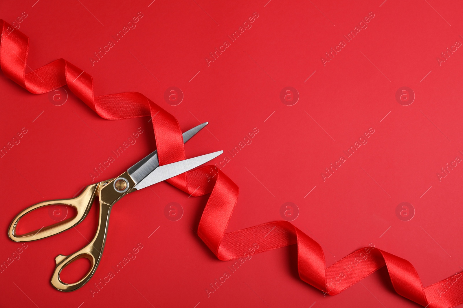 Photo of Stylish scissors and red ribbon on color background, flat lay with space for text. Ceremonial tape cutting