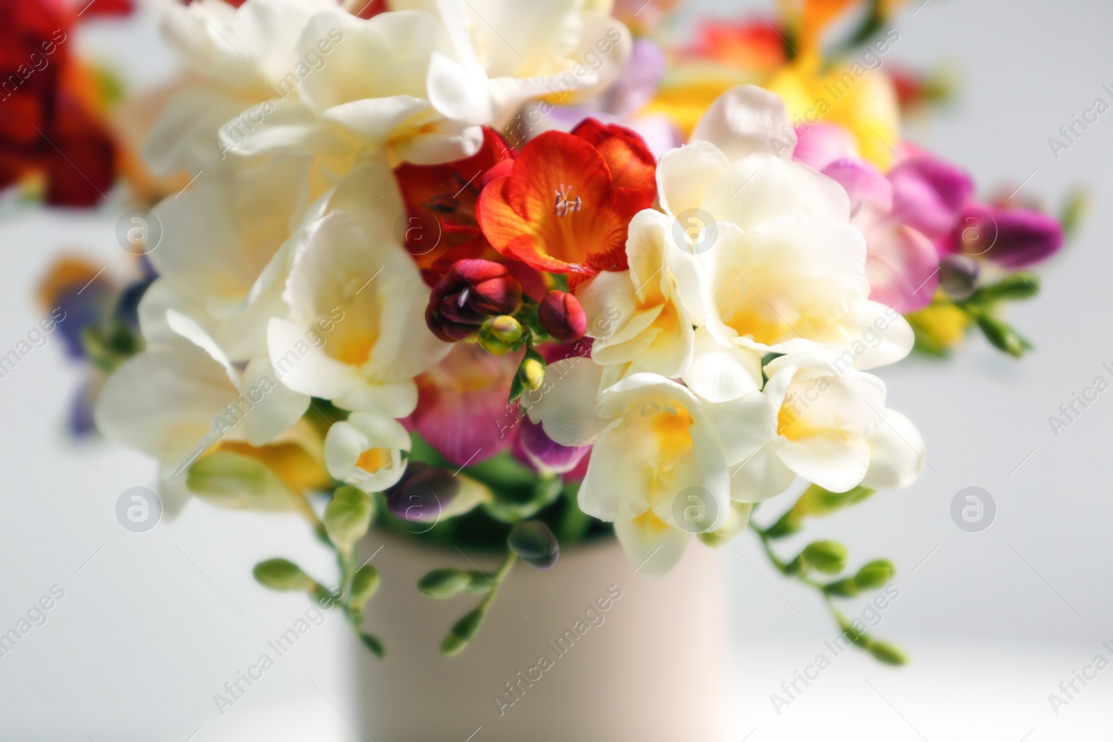 Photo of Beautiful bouquet of freesia flowers, closeup